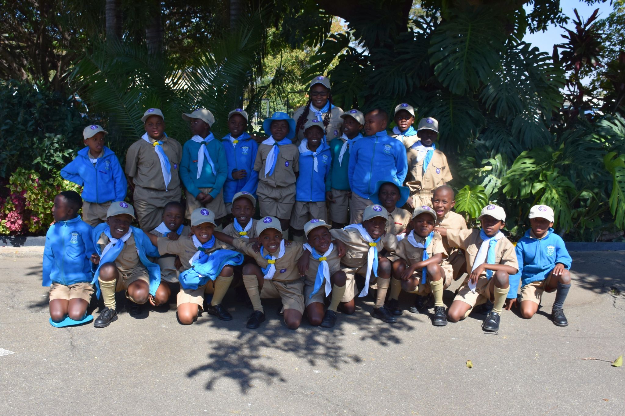 Scouts - Tree of Life
